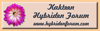 hybridenforum.de